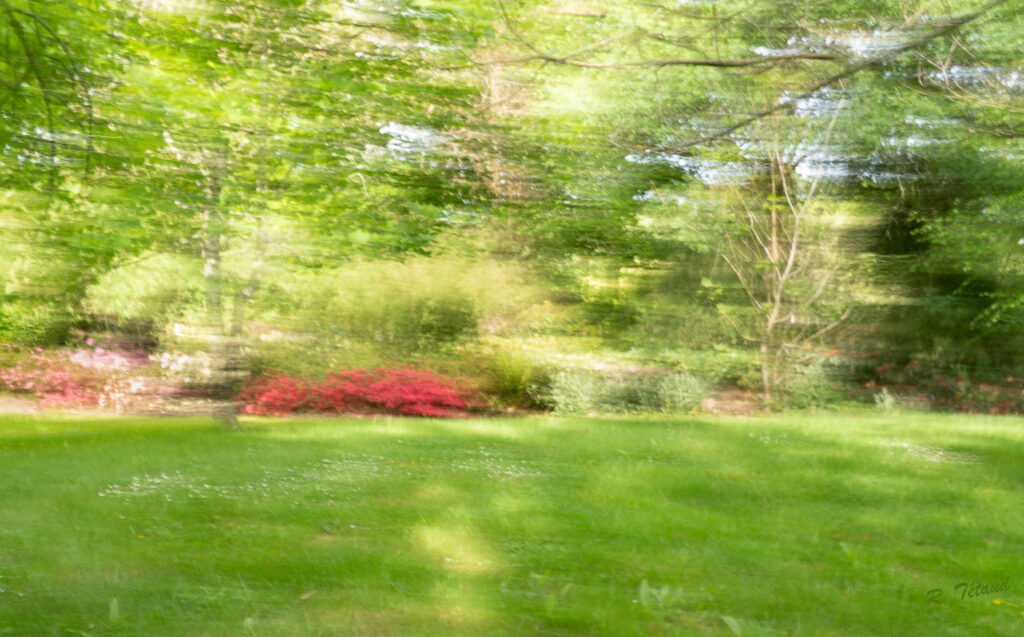 L’image actuelle n’a pas de texte alternatif. Le nom du fichier est : 01052025-40x60-1-scaled.jpeg